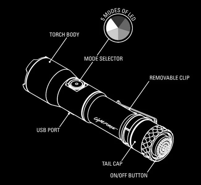 Scout LED Torch Kit