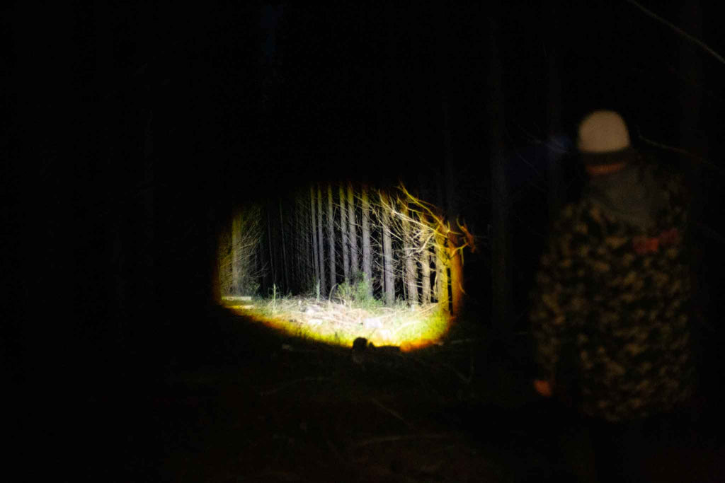 Elite LED Torch Kit