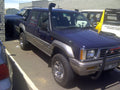 Colt-rodeo-snorkel. Colt rodeo snorkel