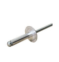 4.8x21x16. Large head pop rivet