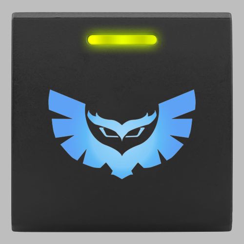 STEDI Square Type Push Switch | STEDI Owl